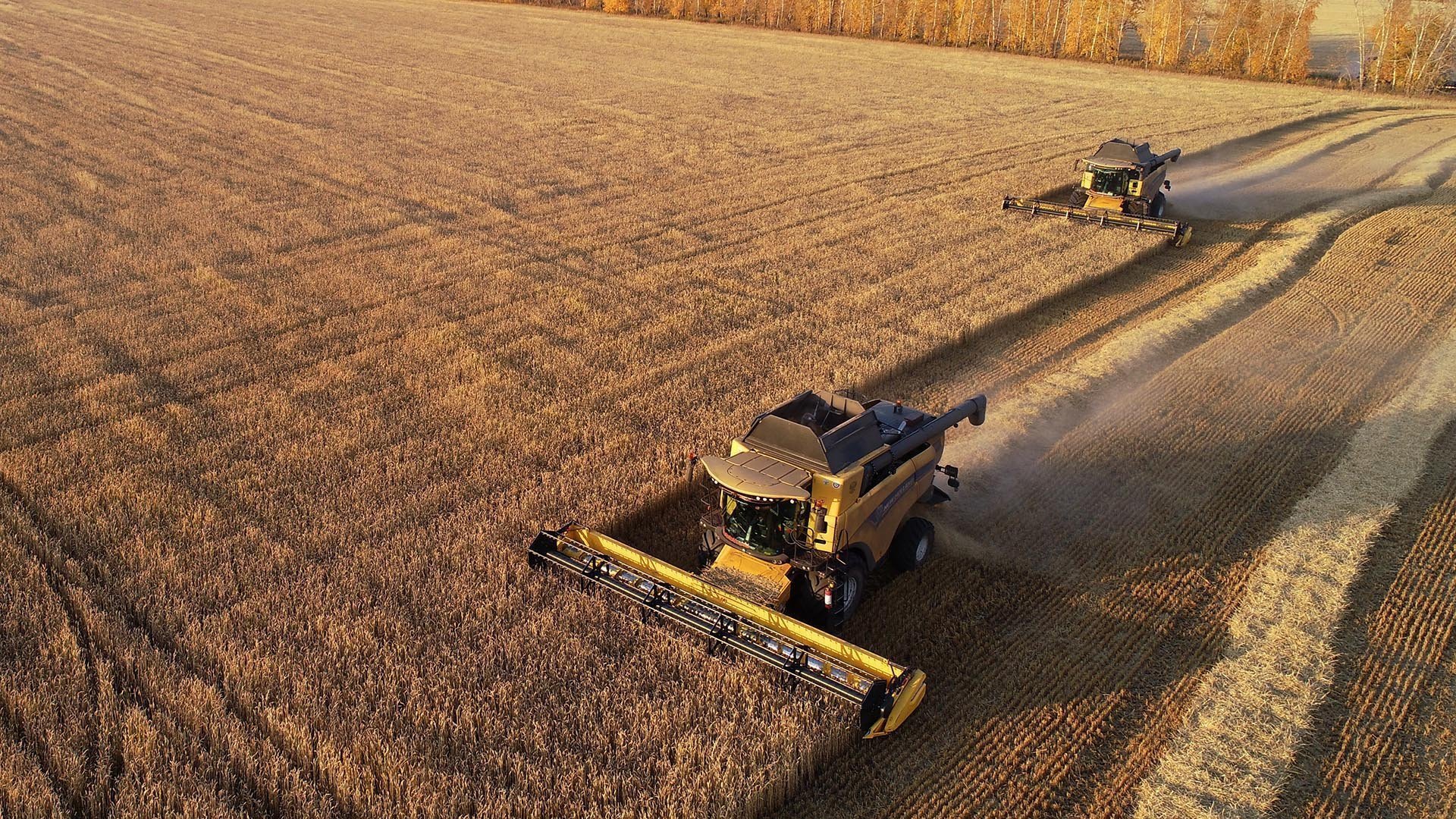 Как Вывести До 70% Запросов В ТОП-10 Google и Яндекс При Ограниченном Ассортименте И Сайте На Конструкторе Tilda