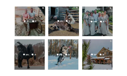 SMM-продвижение агроусадьбы в Instagram