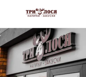 trilosya.by