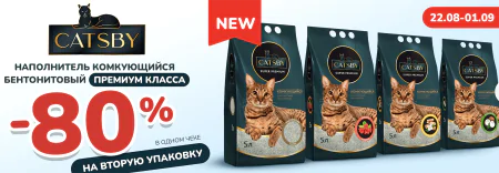 Акции (1)